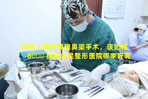 欲在上海开展隆鼻梁手术，该如何 🐒 抉择鼻梁整形医院哪家好呢